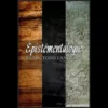 Ebook cover for Todd Landman's 'Epistementalogic,' a digital download guide for advanced philosophical mentalism and mystery arts.