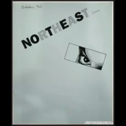 Cover image for NorthEast Notes ebook by Phil Goldstein (Max Maven), featuring magic illustrations and text.