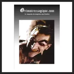 Ebook cover for Grimoire Magique N°4 by Michel Weber, an instant download guide for advanced magic, spells, and arcane rituals