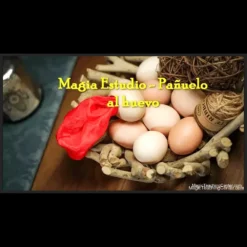 Magician performing the classic Silk to Egg magic trick, demonstrating the illusion of a handkerchief transforming into an egg.