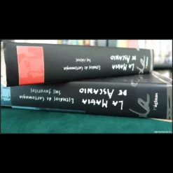 Magia Estudio: Ascanio's Theory of Magic digital video course cover art, highlighting structural magic principles and advanced theoretical learning.