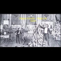 Magia Estudio Magia de Salon digital video course cover, featuring a magician performing versatile stand-up and close-up magic tricks. Instant download for magic expertise.