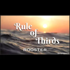 Rooster demonstrating a coin vanish using the Third Finger Curl Palm technique from the Rule of Thirds instant download tutorial.