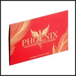 Hanson Chien demonstrating the Phoenix bill restoration magic trick, showing a banknote being visibly punctured and then flawlessly restored.