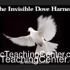 Richard Griffin's Professional Dove Holder and Invisible Dove Harness kit with accompanying magic video tutorial material.