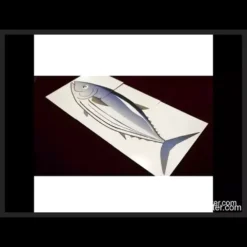 Three custom-designed cards for Fishy Fish by Shoji, illustrating the visual magic trick where fish illustrations magically align into perfect order.