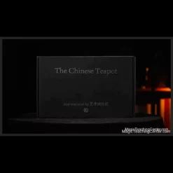 A polished stainless steel TCC Magic Chinese Teapot, a professional stage magic prop featuring an elegant gooseneck spout, designed for illusions including endless water pouring, silk production, liquid reveals, and a surprising rice finale.